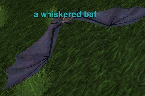 a whiskered bat